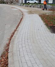 Da Silva Garten- und Landschaftsbau Bild 2