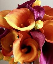 Guyard Benoît image 3