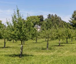 Nicolas Varidel Nature+Jardins Bild 9