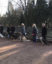RolfsRudel Hundeschule / Rolf Matar Bild 14