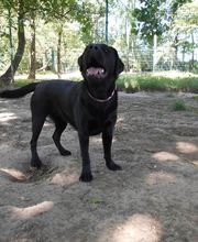 Les Moustaches en Vacances image 6