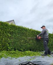 Garten und Landschaftsbau Merz Bild 13