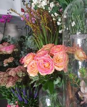 Pougary Marie image 6