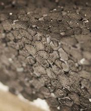 DC Santos Sàrl Bild 8