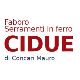 Cidue  Concari Mauro logo