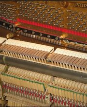 A l'Unisson Pianos Bild 14