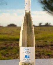 Cooperativa del Campo San Isidro imagen 8