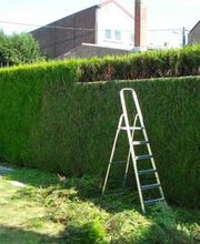 Espace Vert Mc image 4