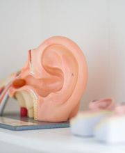 Dr. Bela Molnar HNO Liestal Bild 6