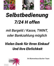 Blumenhaus Bucher Gartenbau GmbH Bild 4