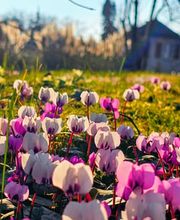 Art'rosage Sàrl Bild 8