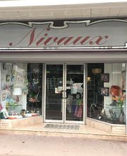 NIVAUX AU LION DE FAIENCE image 1