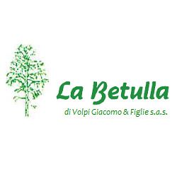 La Betulla Sas logo