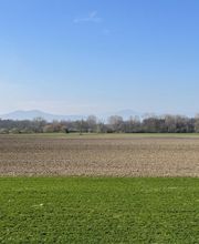 Romain Da Costa Oliveira - SAFTI Immobilier Wittisheim image 10