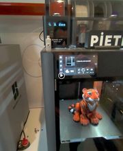 Pietrix 3D imagen 7