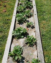 Ted Multiservices image 2