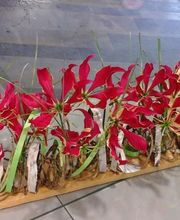 Espace Fleurs image 20