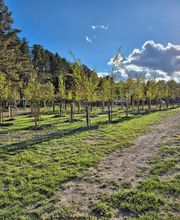Domaine de Boiscieux image 4