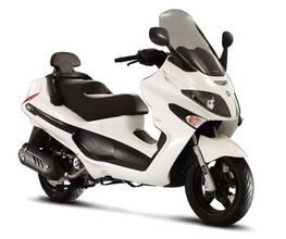 Action Scoots image 10