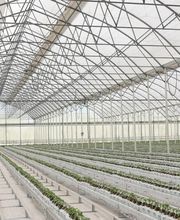 Richel Group image 3