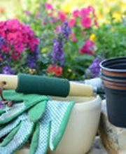 Olaf Kehrberg Garten- & Handwerksbetrieb Bild 2