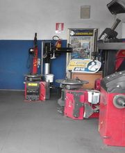Gallery Cliente