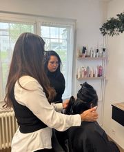 DS Extensions Bild 8