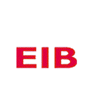 E.I.B image 1
