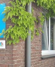 Johan van Kempen Physiotherapeut Bild 1