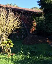 Thuilier Patrick image 5