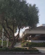 Herb4Us & Acupuncture image 14