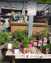 Gamm Vert - Nyons Nature image 9