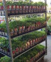 Bricomarché Caudry image 1