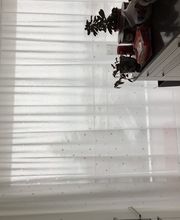 DT Decor GmbH Bild 2