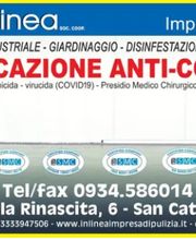 Gallery Professionale