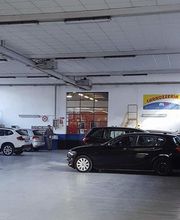 Gallery Cliente