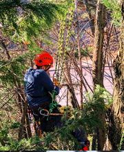 IdealFlora di Davide Gagliardini Bild 1