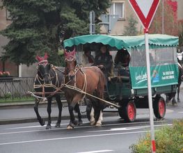 Kerstins Landpartie - Kerstin Hirsch - Bild 3