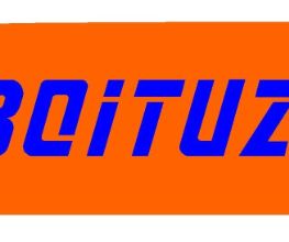 Entreprise Boituzat image 2