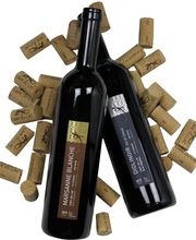 Cave du Lac Sàrl Bild 5