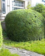 Garten Bürli GmbH Bild 12