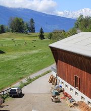 Ferme des Trontières Randogne Bild 2