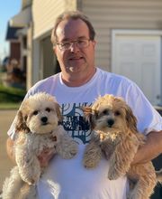 Dog Guard Midwest image 1