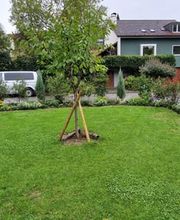 Simart Gartenbau GmbH Bild 5