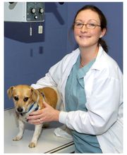Monroe County Animal Hospital image 2