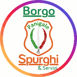 Borgo Panigale Spurghi & Servizi logo