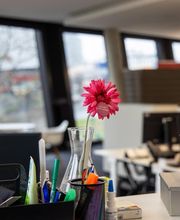 Baseplus DIGITAL MEDIA GmbH Bild 10