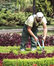 Avangard Hausmeisterservice Bild 2