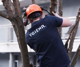 Ygiena SA Bild 13