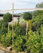 Gaertnerei in Basel-Stadt